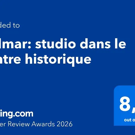 Colmar: Dans Le Centre Historique コルマール